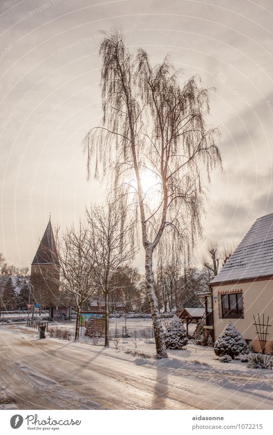 village Nature Sky Winter Beautiful weather Ice Frost Snow Lambrechtshagen Mecklenburg-Western Pomerania Europe Federal eagle Village Deserted Church