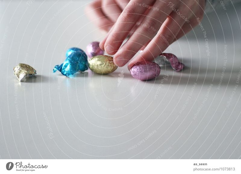 nibble Food Candy Chocolate chocolate eggs Nutrition Eating Diet Easter Child Infancy Fingers Touch Authentic Glittering Small Sweet Multicoloured Self Control