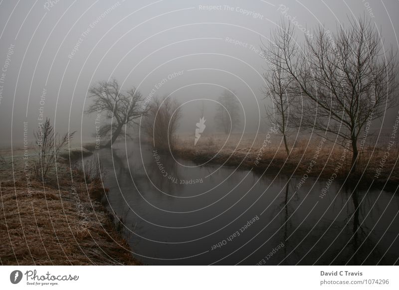 Foggy morning Landscape Water Winter Meadow Time Subdued colour Exterior shot Deserted Morning Central perspective