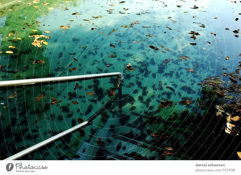 the other day at the outdoor pool Swimming pool Open-air swimming pool Autumn Holiday season End of the season Leaf Cyan Green Background picture Abstract Moody