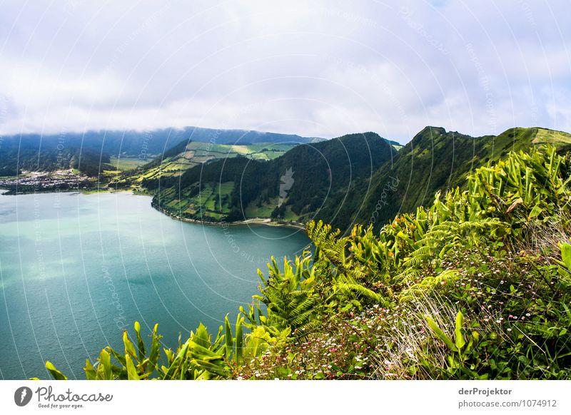 Crater ridge on Sao Miguel Vacation & Travel Tourism Adventure Far-off places Freedom Mountain Environment Nature Landscape Plant Animal Elements Summer