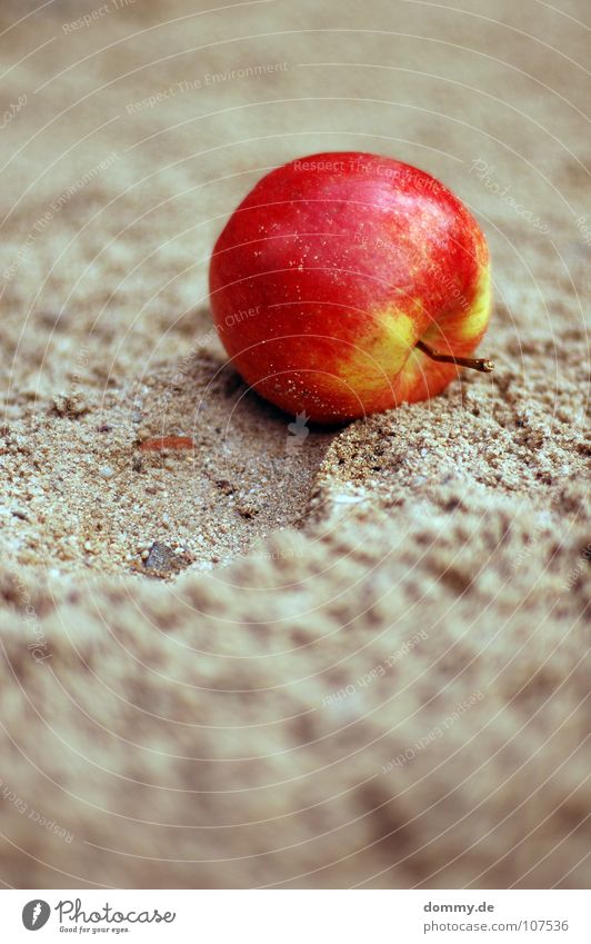 the apple falls ... Red Green Small Macro (Extreme close-up) Round Tracks Depth of field Delicious Chimney Nutrition Sandpit Playground Playing Fruit Apple