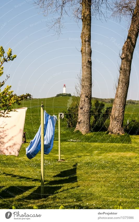 Fresh laundry at the lighthouse Vacation & Travel Tourism Trip Far-off places Freedom Environment Nature Landscape Plant Elements Spring Beautiful weather Tree