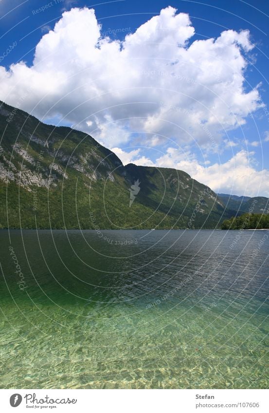 Deceptive Silence Lake Fir tree Tree Slovenia Julien Alps Cold Clean Summer Clouds Tourist Hiking Mountain Sky triglav clear as glass Clarity cheeky water sea