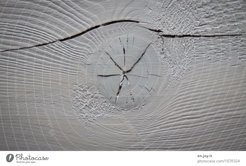 wooden eye Agriculture Forestry Wood Bright Round White Decline Wooden board Wood grain Paintwork Varnished Crack & Rip & Tear Column Broken Old Roof beams