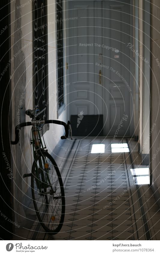 Wheel in the wide corridor Living or residing Flat (apartment) House (Residential Structure) Moving (to change residence) Hallway Racing cycle Bicycle Old town