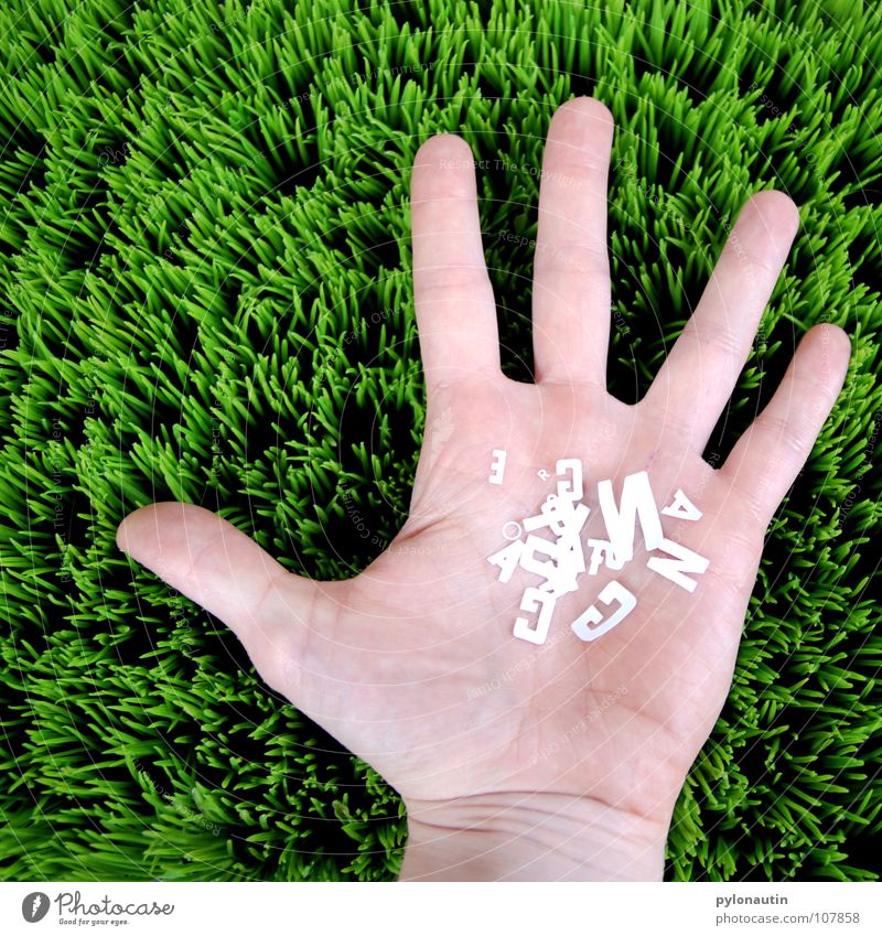alphabet salad Hand Grass Fingers Latin alphabet Letters (alphabet) Typography White Green Artificial lawn Meadow Palm of the hand Obscure Skin Lawn Statue Arm