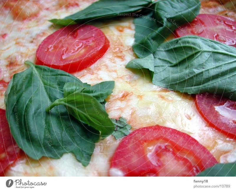 Pizza Mozarella Mozzarella Cheese Physics Nutrition Tomato Warmth