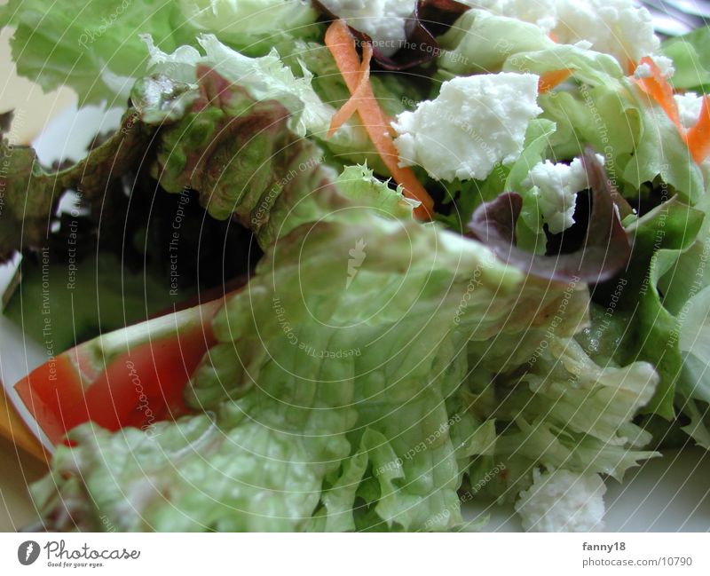 Salad with cheese Green Healthy Lettuce Mix Vegetarian diet Vegetable