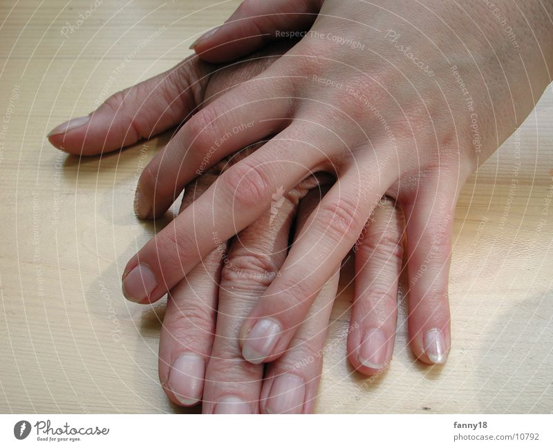 Hands I Woman Feminine Arm