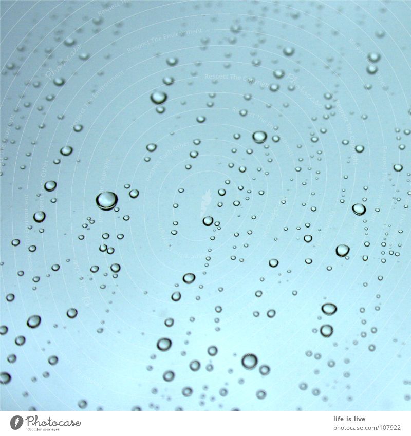 _always_when_it_rains_ Drops of water Wet Uniqueness Fluid Water Thirst-quencher Roll Detail Autumn -A-N-N-A-A- whenever it rains rain Plitsch Platsch