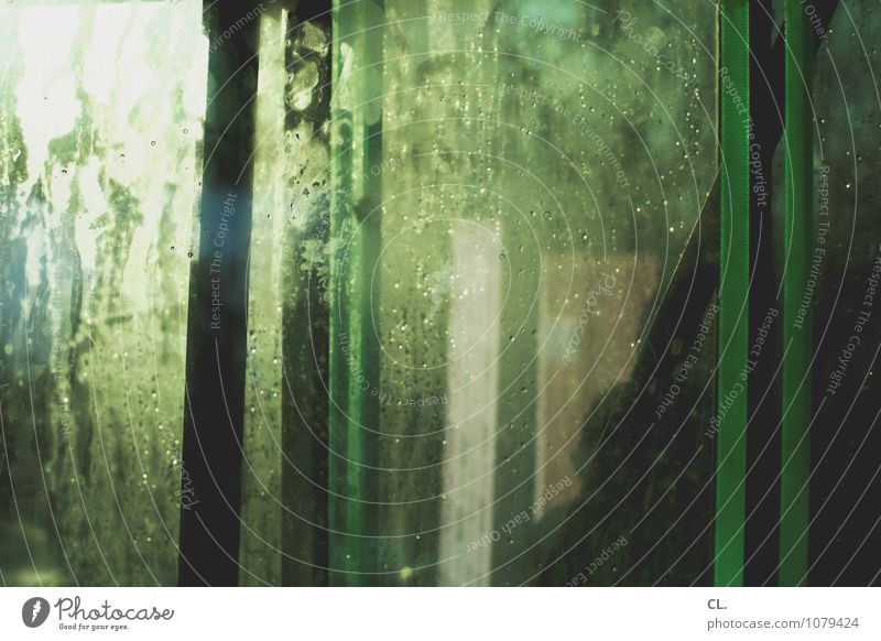 IT'S GREEN. Drops of water Window Window pane Exceptional Wet Green Esthetic Inspiration Complex Creativity Colour photo Experimental Abstract
