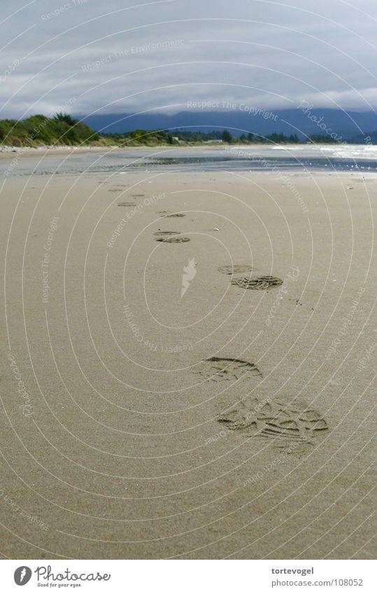 Traces in the sand Beach Australia + Oceania Coast Grief Beautiful Footprint Cold Wet Damp New Zealand New Zealander Dreary Distress Autumn Sadness footprints