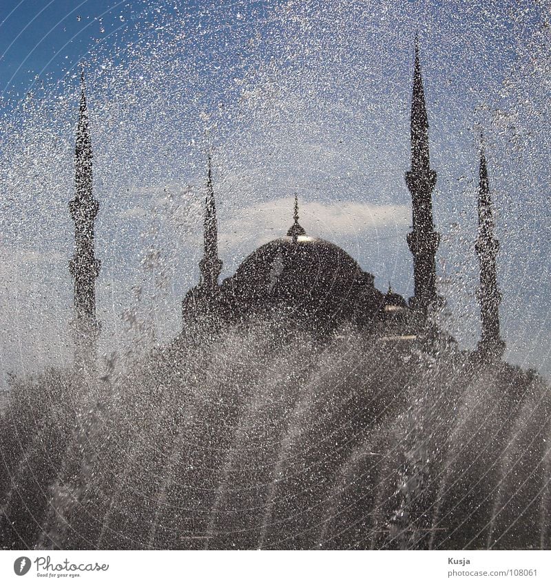 Sultan Ahmet Mosque Blue Mosque Istanbul Religion and faith Islam Well Inject Black Round Historic Sky Sun Tower Water Tile Old Kusya