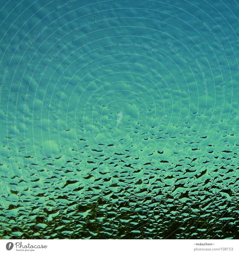 goutte de pluie à la fenêtre (French) Rain Window Green Black Room Tree Macro (Extreme close-up) Close-up Sky Water raindrops Drops of water gouttes Blue bleu