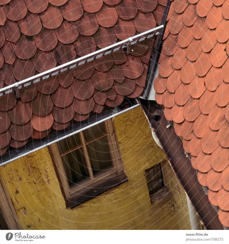 roof top view Roof Roofer Yellow House (Residential Structure) Farm Brick Wood Roof ridge Skylight Pattern Window Roofing tile Craft (trade) Historic Detail Old