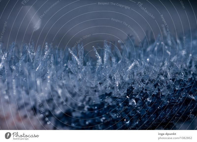 crystalline Environment Elements Water Winter Climate Weather Ice Frost Cold Hoar frost Freeze Ice crystal Crystal structure Abstract Structures and shapes