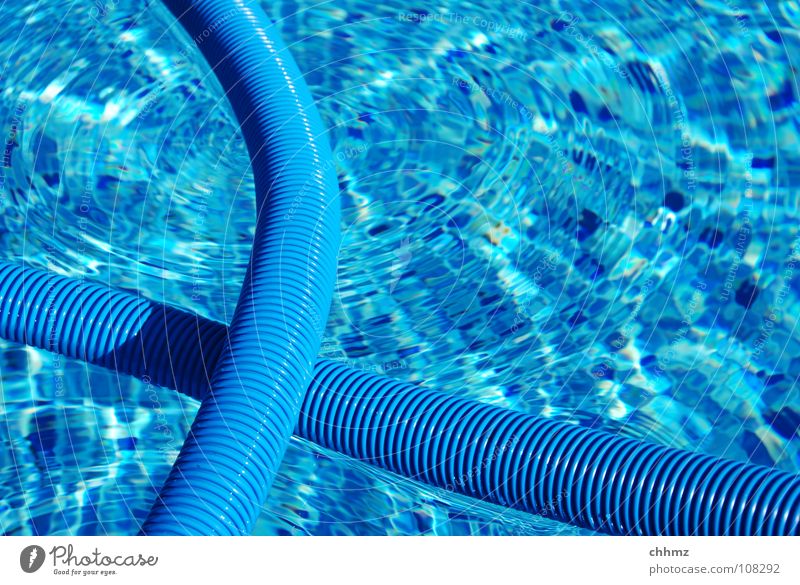 pool Swimming pool Water Cleaning Blue Hose Float in the water Groove Colour photo Exterior shot Close-up Day Surface of water Reflection Tile Copy Space right