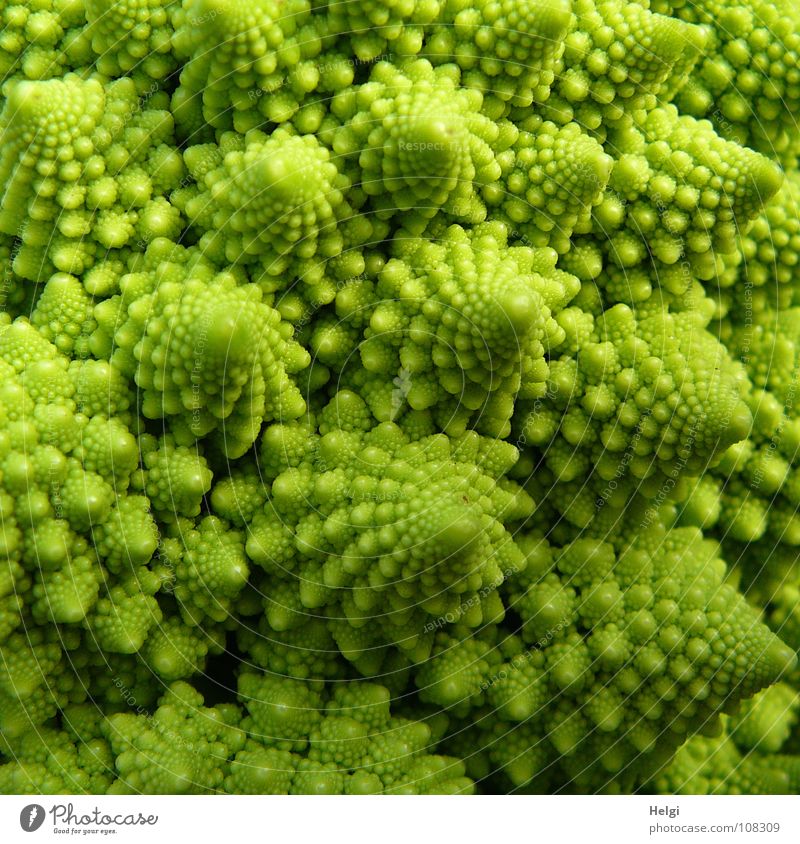 Detail of a Romanesco cabbage Cabbage Cauliflower Broccoli Nutrition Vegetarian diet Vegan diet Plant Healthy Vitamin Food Cooking Tree Delicious Green Chaos