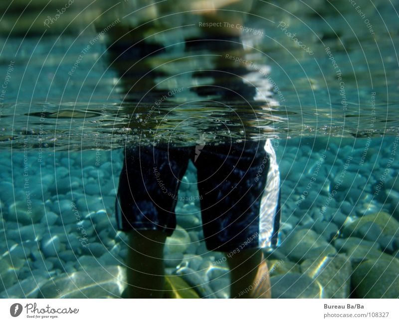 shark view Ocean Swimming trunks Man Shark Reflection Vacation & Travel Beach France Water Underwater photo Clarity Stone Swimming & Bathing Legs