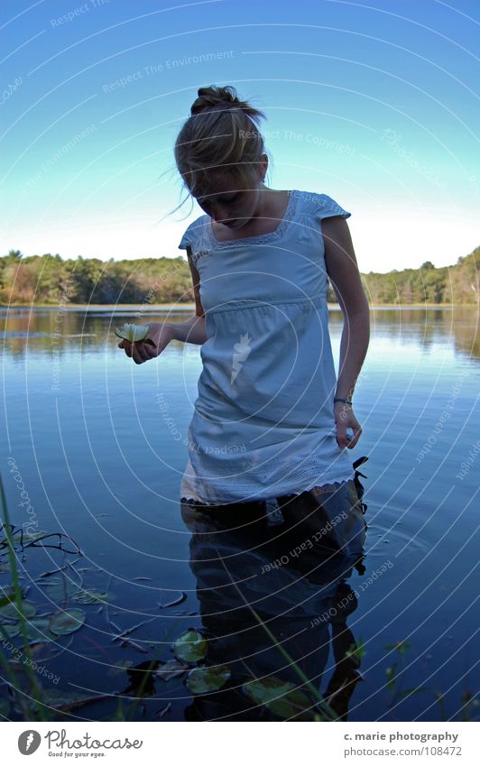 mirk and innocence Blonde Water Beautiful blue reflection innocent water lily pond lake lily pad