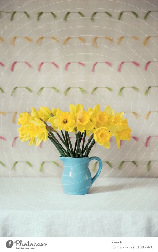 Easter II Blossoming Fresh Joie de vivre (Vitality) Still Life Vase Narcissus Tablecloth Jug Colour photo Interior shot Deserted Copy Space left