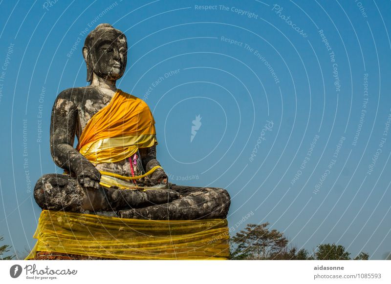 Buddha Art Sculpture Emotions Moody Happy Contentment Joie de vivre (Vitality) Wisdom Sit Thailand Colour photo Day Sunlight