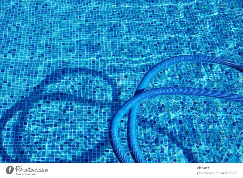 Another POOL Swimming pool Water Cleaning Blue Hose Float in the water Groove Colour photo Exterior shot Reflection Surface of water Tile Deserted