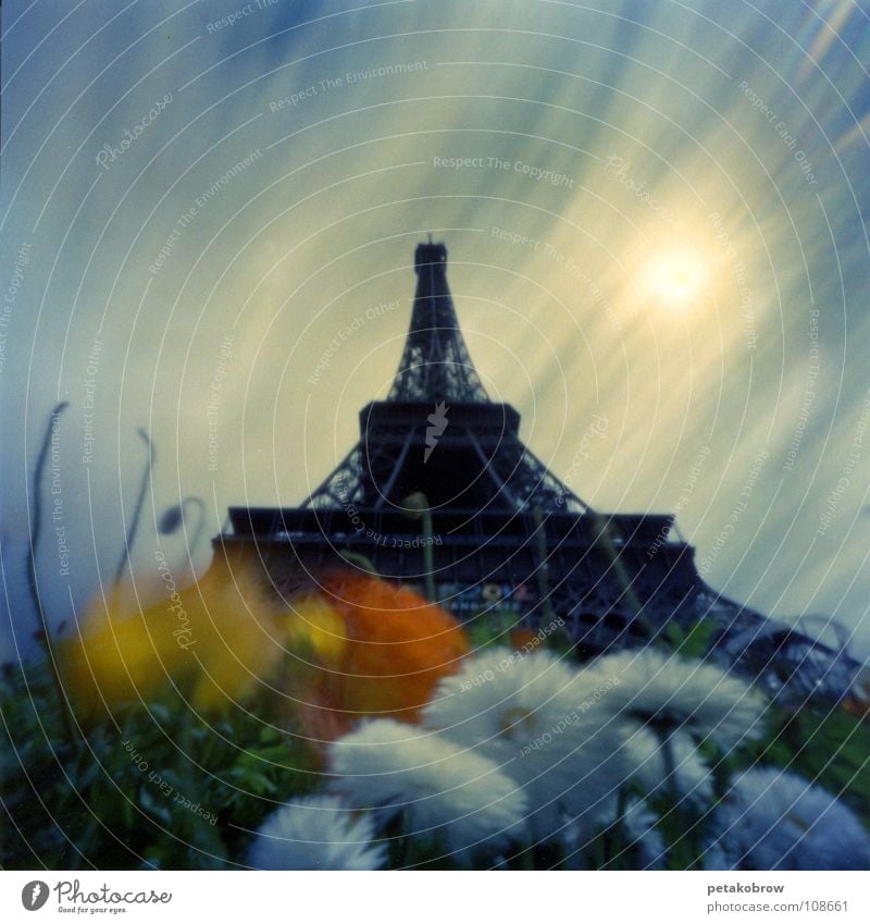 Hole patternParis01 Eiffel Tower Flower Clouds Landmark Architecture hole camera hole pattern Sky Garden Sun