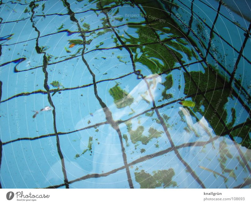refraction of light Swimming pool Square Algae Green Light Reflection Autumn Water Basin Tile Blue Seam