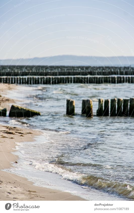 Breakwater vs. Sea (0:1) Vacation & Travel Tourism Trip Far-off places Freedom Environment Nature Landscape Plant Water Autumn Beautiful weather Waves Coast