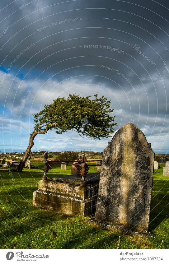 All wind misalignment at the cemetery Environment Nature Landscape Plant Spring Tree Park Meadow Hill North Sea Island Small Town Tourist Attraction Landmark
