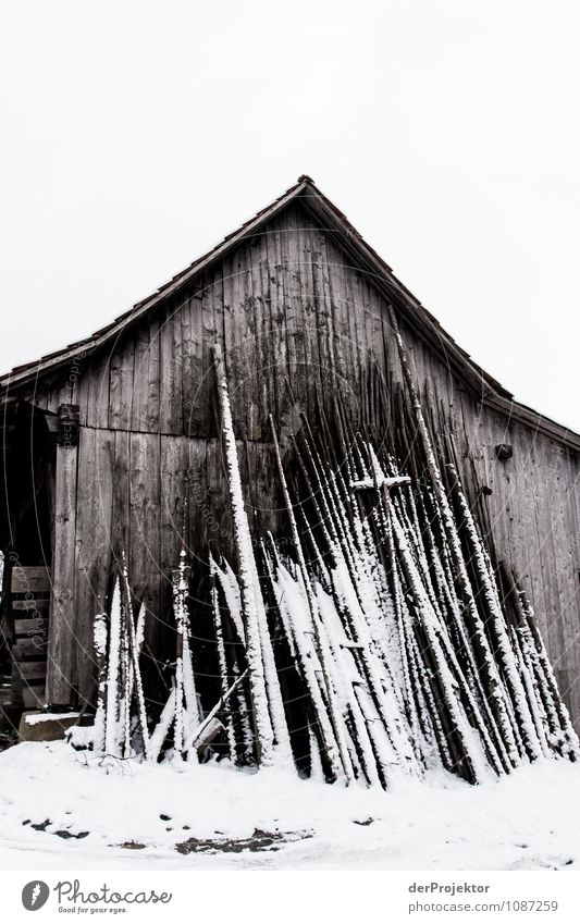 Giant Micado in Winter Vacation & Travel Tourism Trip Winter vacation Mountain Environment Nature Landscape Beautiful weather Ice Frost Snow Village