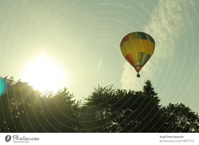 Journey to the sun Trip Adventure Summer Nature Sunlight Beautiful weather Means of transport Hot Air Balloon Movement Relaxation Fantastic Tall Natural