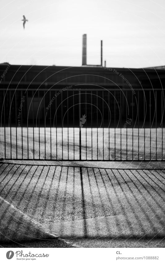 Somewhere in nowhere Economy Industry Closing time Sky Beautiful weather Deserted Industrial plant Factory Places Building Architecture Chimney Fence Main gate