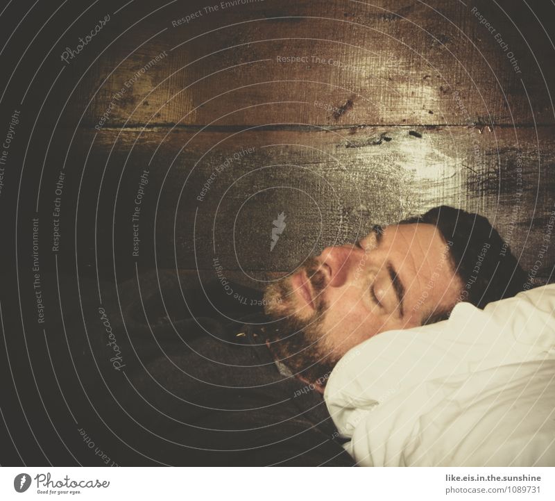 hibernation Masculine Man Adults Life 30 - 45 years To enjoy Sleep Natural Dream Designer stubble Facial hair Fatigue Wooden wall Cushion Bed Bedclothes Lie