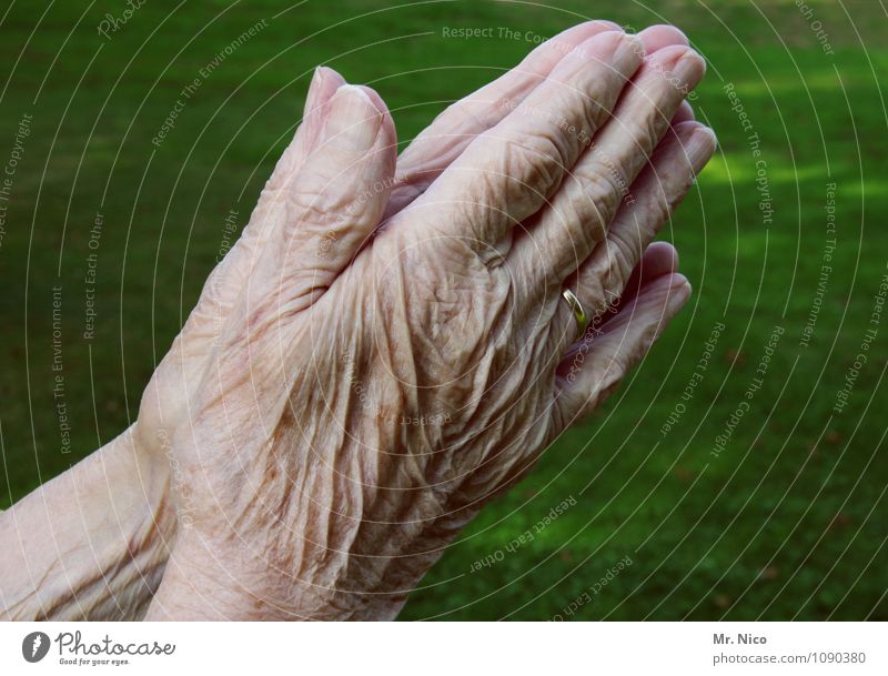 Urbi et orbi Personal hygiene Skin Feminine Grandmother Senior citizen Arm Hand Fingers 60 years and older Environment Prayer Emotions Wrinkle Patient Wisdom