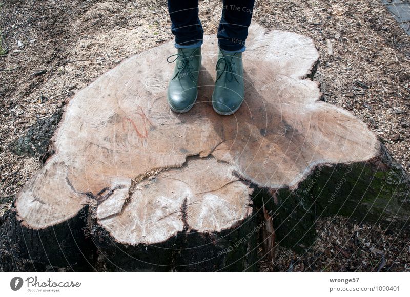 wooden step Feminine Woman Adults Legs Feet 1 Human being Tree Tree stump Footwear Boots half boots Stand Old Gloomy Brown Green Aggravation Wood Tree section