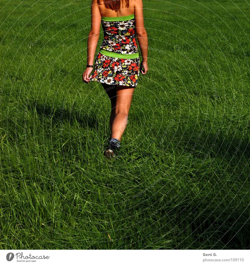 go go, girl Woman Young woman Thin Healthy Brown Summery Sunbathing Dress Mini dress Short Multicoloured Pattern Going Grass Meadow Hip swing Swing Physics