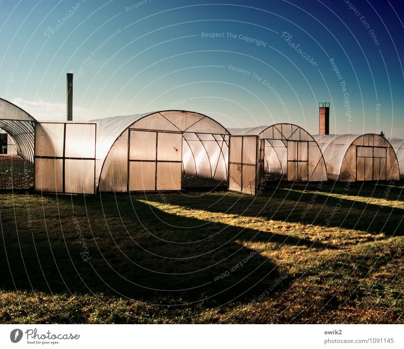 greenhouse effect Agriculture Forestry Trade Company Cloudless sky Beautiful weather Grass House (Residential Structure) Building Greenhouse Market garden