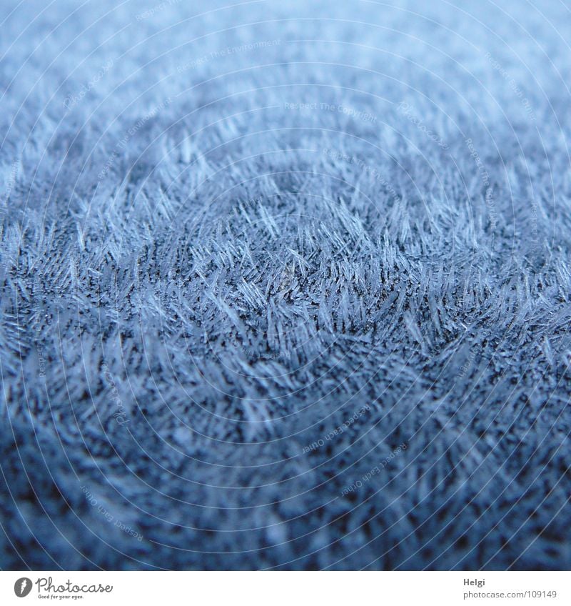 full-coverage hoarfrost with tips Autumn Morning Hoar frost Freeze Frozen Ice crystal Cold Damp White Chopstick Long Thin Vertical Stand Side by side Together