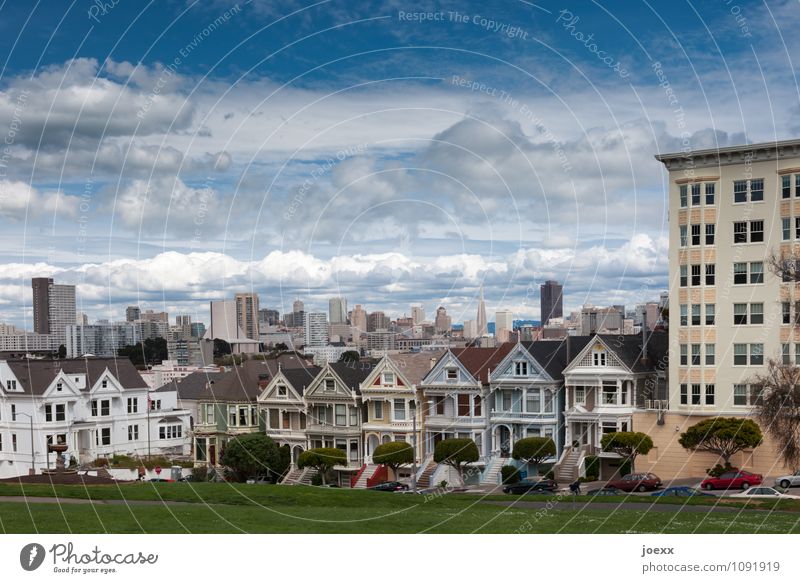 Painted Ladies Sky Clouds Beautiful weather Meadow San Francisco Town Skyline House (Residential Structure) Tourist Attraction Old Blue Multicoloured White