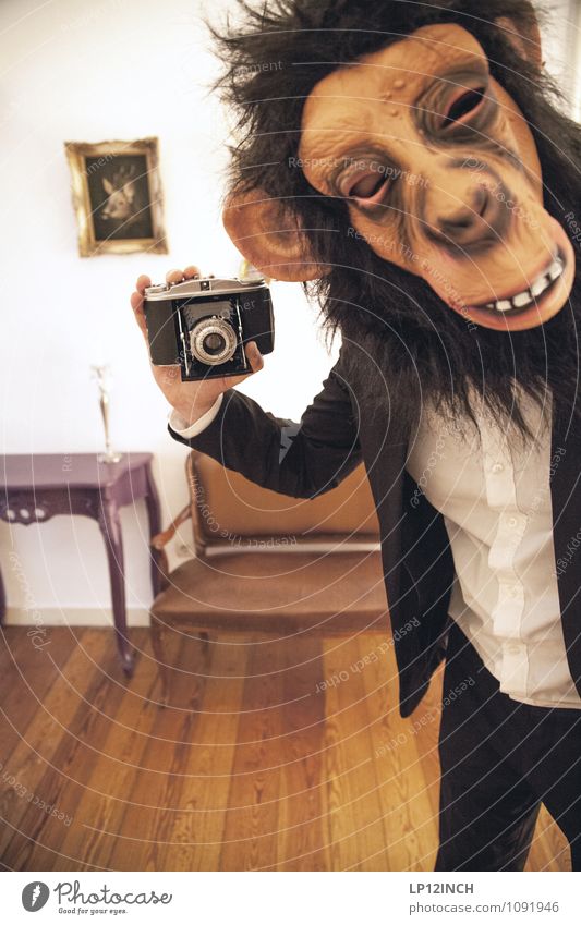 SELFIE AFFEN. I Entertainment Hallowe'en Human being Masculine Young man Youth (Young adults) Head 1 18 - 30 years Adults 30 - 45 years Event Shows Monkeys