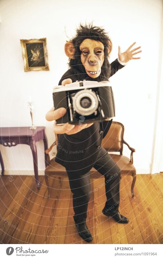 SELFIE AFFEN. IV Masculine Young man Youth (Young adults) Man Adults 1 Human being Suit Monkeys Animal Take a photo Camera Utilize Illness Town Crazy Joy