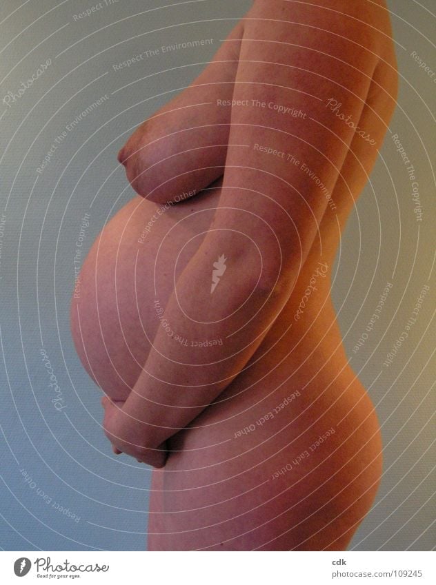 pregnant II Woman Naked Pregnant Feminine Baby bump Posture Side Multiple Development Time Growth Occur Together Embryo Mother Round Beautiful Endurance