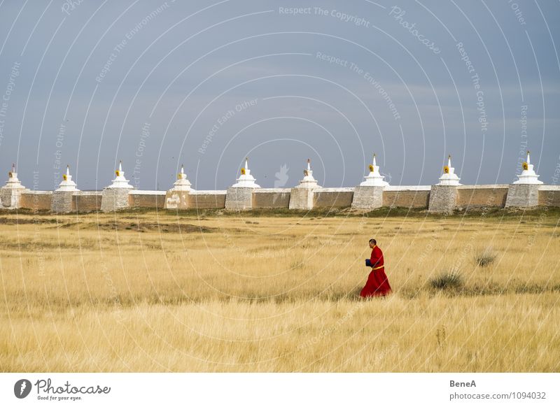 monk Calm Meditation Monk Human being Masculine Man Adults 1 Religion and faith Buddhism Temple Grass Park Meadow Church Wall (barrier) Wall (building)