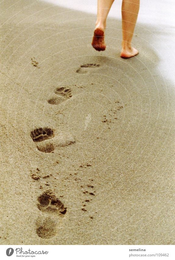 sandpiper Beach Footprint Tracks Ocean Going To go for a walk Walk on the beach Coast Walking Feet Sand Loneliness Lanes & trails Barefoot