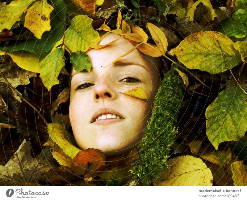 Lost Face Adventure Feminine Woman Adults Nature Earth Autumn Leaf Moss Forest Looking Cold Wet Brown Yellow Green Calm Longing Stagnating Environment Damp Easy