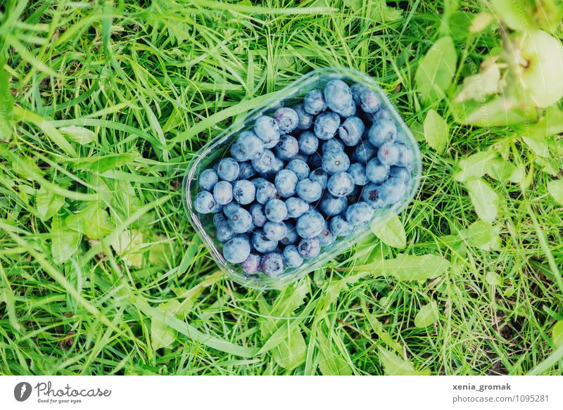 blueberries Food Fruit Nutrition Picnic Organic produce Vegetarian diet Diet Bowl Lifestyle Healthy Healthy Eating Athletic Fitness Overweight Wellness