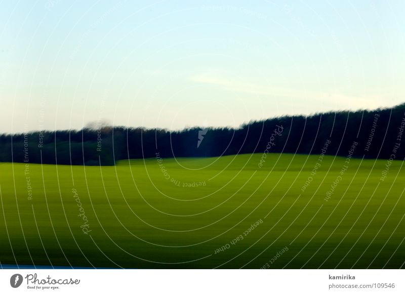 exposure Background picture Meadow Grass Forest Wood flour Clearing Field Green Horizon Horizontal Long exposure Driving Speed Sky Edge of the forest Flashy